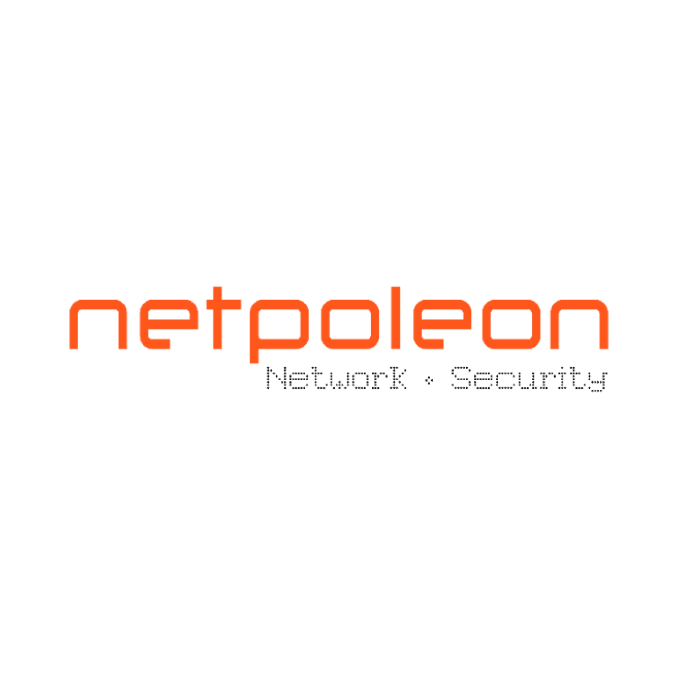 Netpoleon Solutions Logo